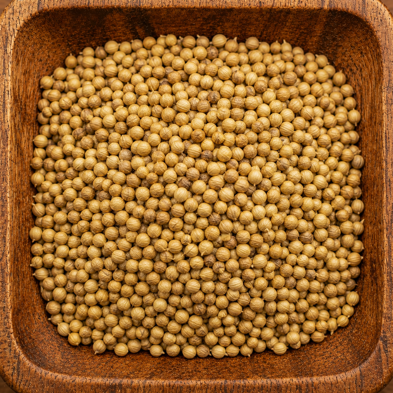 Coriander ( Dhaniya ) Powder