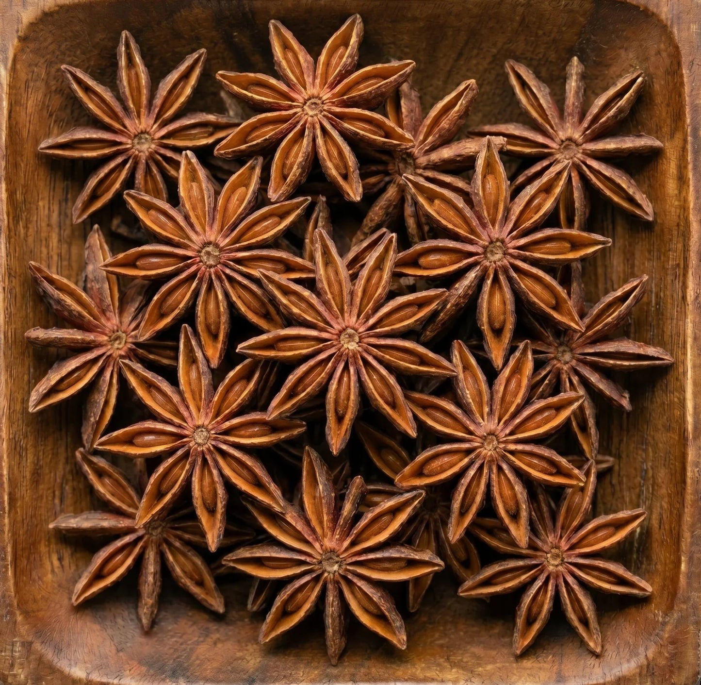 Star Anise