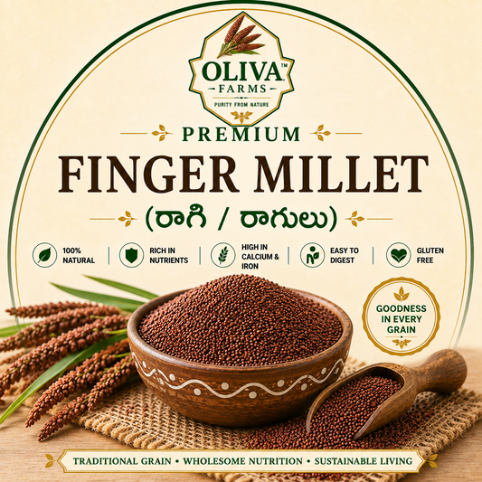 Finger Millet (Ragi): Ragulu (రాగులు)